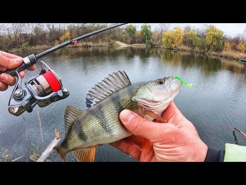 Russian Ultralight Fishing! Ultralight Fishing with a Drop Shot Rig