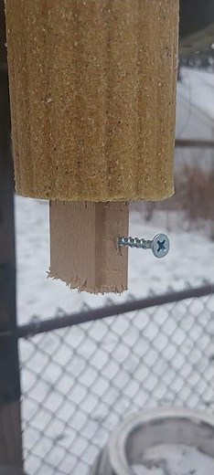 squirrel log. with squirrel lock