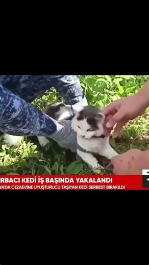 Mama parası #komikvideo #komikyorumlar