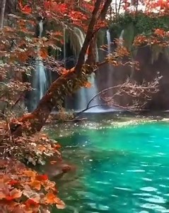 45 reactions · 18 shares | A piece of heaven  | Best nature photography | Facebook