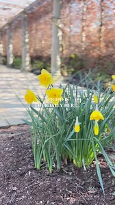 Spring is officially here and brighter days are coming️... Awaken your senses this Spring with our Spring Awakening Staycation. Click the link below to find out more: https://www.bedfordlodgehotelspa.co.uk/special-offers/spa-breaks/spring-awakening-staycation #startofspring #spabreak #sparetreat #spasuffolk | The Spa at Bedford Lodge Hotel | Facebook
