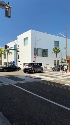 11K views · 220 reactions | A pair of dogs were spotted cruising in...