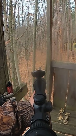 Tim Blarr on Instagram: "Mature doe harvest @gopro @real_hunting_outdoors_ #hunting #gopro #whitetail #ruger #treestand #camoflauge #deer #deerseason #bushmaster #450bm #vortexoptics #rixoptics"