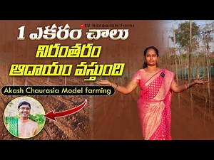 1 ఎకరంలో నిరంతర ఆదాయం | Akash Chourasiya Model farming #AkashChourasiya #multilayerfarming