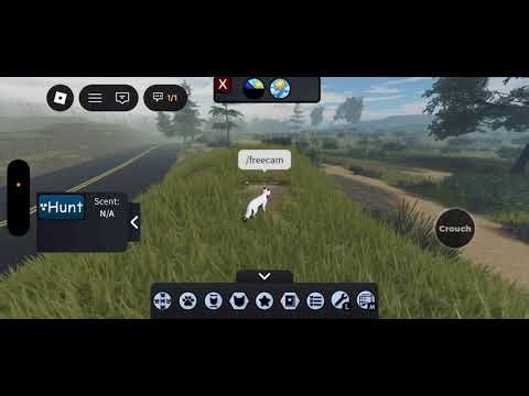 Npc hunting in wcue!!! First time