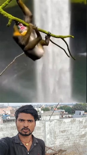 #Timelapse, start to finish alone build log cabin (wooden house), how to build wooden cabin, surviva