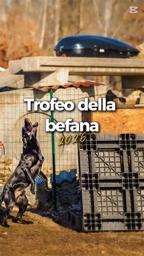 Centro di formazione cinotecnica Lupo Maestro on Instagram: "PICCOLO RECAP del TROFEO DELLA BEFANA PROVA CANI DA SOCCORSO 🐾 Si è concluso il 1° Trofeo della Befana, organizzato da Lupo Maestro in collaborazione con ACA – Associazione Cinofili Alpini. Due giornate intense rese possibili grazie a chi ha scelto di dedicare tempo, energie e passione: 🙏 figuranti, trasportatori, gruppo, cucina, segreteria, direttori di campo e giudici. 💙 Un grazie speciale al nostro sponsor Non Stop Dogwear per il
