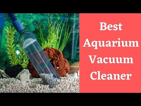 The Best Aquarium Vacuum Buyers Guide – 2024