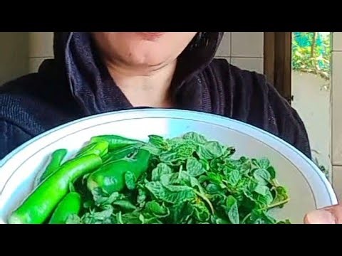 Insha Velogs is live