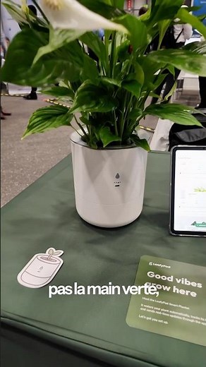 Leafypod, the AI-powered smart pot 🌱#ia #leafypod