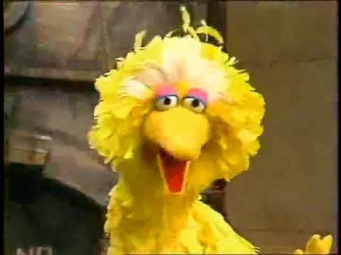 Classic Sesame Street - Big Bird Sings Imagine With Me