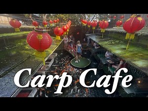 Magical Café in Thailand! Dining with Hundreds of Koi Fish 🐟✨ | Carp Café Chiang Mai