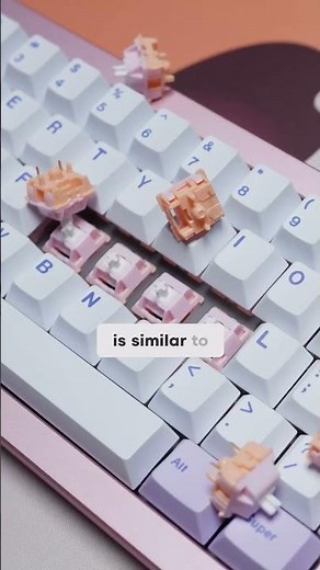 Top Keyboard Expert Reveals BEST Switch Type for Your Mechanical Keyboard