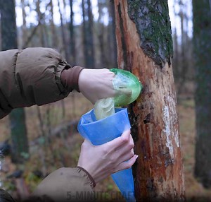 3.2M views · 8.9K reactions | ¡Una chica adorable hace algo asombroso con materiales naturales! | Ideas en 5 minutos Chicos | Facebook