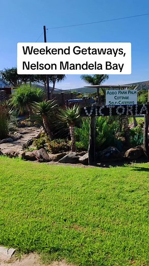 Hidden Gems of Port Elizabeth: Discover the Best-Kept Secrets