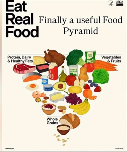 What You Need to Know About the New Food Pyramid. Ladies the nutrition guidelines just got a major update with the release of the 2025–2030 Dietary Guidelines for Americans, and with that comes a new way of thinking about the food pyramid. ⁠ Here’s what’s different and important: • A flipped (upside-down) pyramid: The classic pyramid you may remember put grains at the bottom as the “foundation.” The newest version flips that idea. Now, protein, vegetables, fruits, dairy and healthy fats sit at t