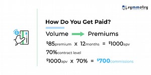 SFG Corporate Overview