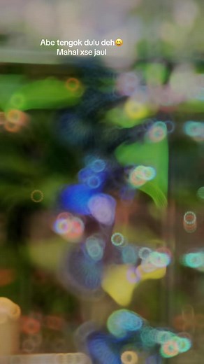 Blue dragon💙🔥#guppymalaysia🇲🇾 #metalblacklaceguppy #fypkelatey #betta #koi #guppyhold #reddragon #CapCut #fullgold #mahalxjual #dumbo #betta_lover #whitekingcobraguppy #guppyindonesia #metalredlace #yellowtiger #aquarium #koiredear #dambo