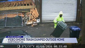 Viral video shows full DC trash bin tossed, DPW investigating