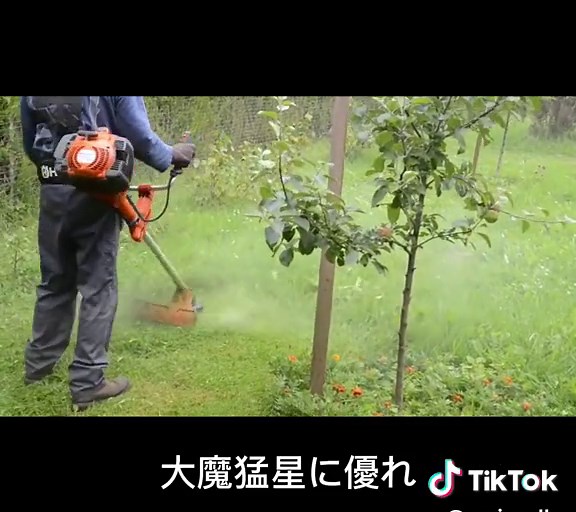 天才技术的未来探索