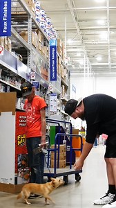 Rocket liked it! Fart Prank! #comedy #fart #reels #funnyvideos #pranks | TN4P