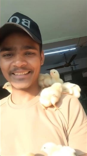 tutorial Parrot party filter 🤩💀 #parrot​ #party​ #filter​ #moneylove​ #funny​ #trending​👿