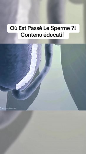 Où est passé le sperme ? Science et grossesse
