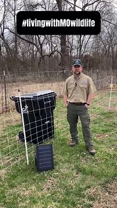2.4K views · 113 reactions | Wanting to try using electric fence to keep out bears? Remember- if you can reach it, they can too! Check out this video more things to consider when using fencing in bear country. Find more tips from @bebearwise at bearwise.org #livingwithMOwildlife | Missouri Dept. of Conservation | Facebook