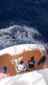 Front row seats to an epic black marlin battle! || @lukefallonsportfishing . . . #PelagicWorldwide #BuiltForFishing #Pelagic #blackmarlin #catchandrelease #GreatBarrierReef #Australia @kelldallfall | Pelagic