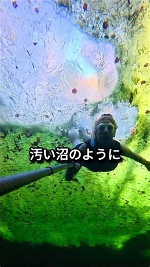 [Amazing] Jump into the green swamp → The clearest underwater world in the world