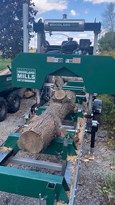 Milling up a small ash log! | Alexandra Agiurgiuculese
