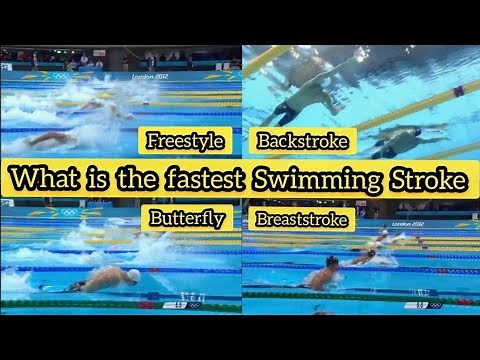 The Fastest Swimming Stroke // Let's Compare // Freestyle Vs Butterfly Vs Backstroke Vs Breaststroke