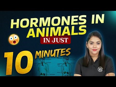 Hormones in Animals Class 10 (Control and Coordination) | Class 10 Biology Chapter 2