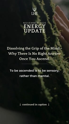 To be ascended is to be sensory, rather than mental. You have a higher mind, a higher heart, an open intuition and third eye, and an open throat chakra. You're clearing all of your body and energy field now so that what was past can remain in the past and you can move forward. The fact that someone else believes that their truth is the only truth tells you what a limited, small world they're living in. There might be people who want to tell you, "This is how it is. This is the answer." But that 