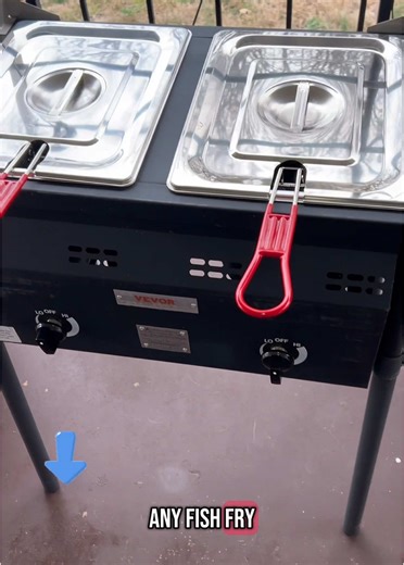 Vevor Commercial Deep Fryer for Delicious Hot Wings