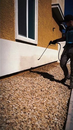 “When the walls start crawling, you call EXO 💀” #pestcontrol