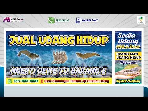 🦐 Desain Banner Udang Hidup yang 'Clean' & Informatif di CorelDRAW 🧊