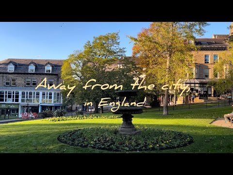 リーズから1時間の日帰り旅行 | イギリス留学生vlog （ナレスボロ・ハロゲート）