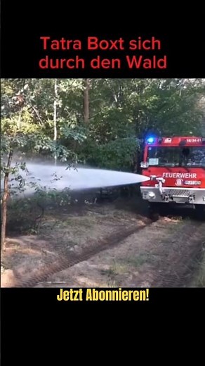 Tatra Boxt sich bei Waldbrand durch den Wald - Kurzvideo - Oranienbaumer Heide
