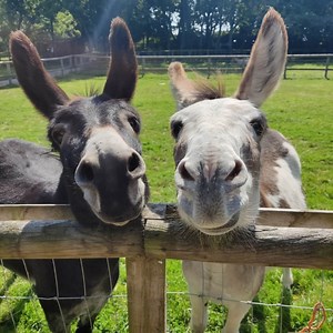 Animal Science | University Centre Reaseheath