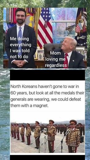Rebel Love & North Korean Magnets 🧲❤️ #DarkHumor #Relatable #Funny