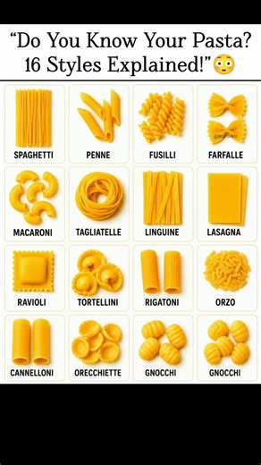“Do You Know Your Pasta? 16 Styles Explained!”😳