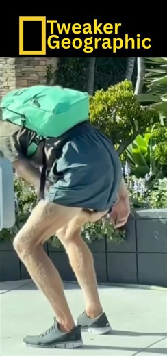 Tweaker Geographic Episode 53: “Empty load”