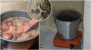 Watch: The tradition of incense in churches during Holy Week functions