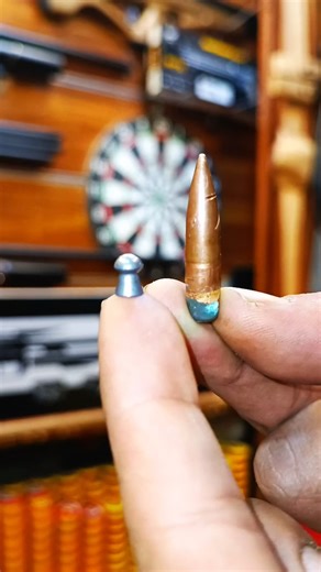 German Pellet 🇩🇪 vs Bullet 💥 — Precision vs Power#pcphunters #airsoft #pelletrifle #hunting