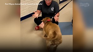 Emotional Support Dog Missing for 2 Years Reunited with Owner: ‘I Kind of Lost Hope After a While’