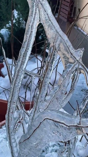 Ice Age 3 is coming?