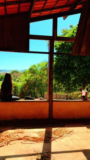 ‏#horsebylayal #fyp #viral_video #virał #explore #brasil🇧🇷 #lebanon