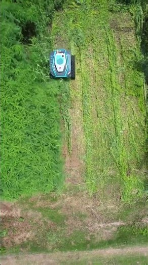 Intelligent Lawn Mower Revolution: DIY Guide for Remote Control