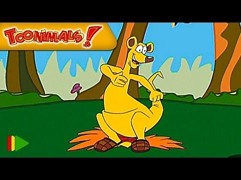 Toonimals - 18 - The Kangaroo | Full Episode |